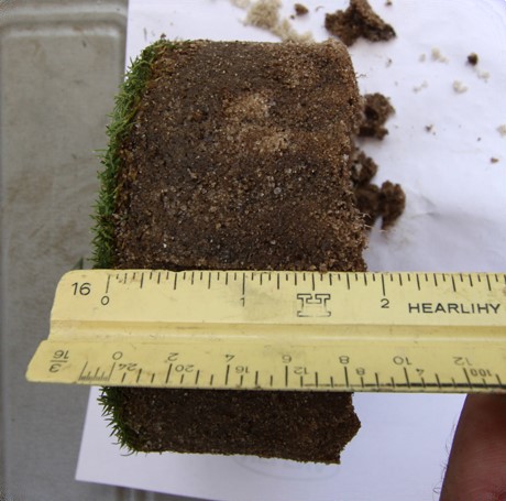 Northwood Club turf root sample after installing SubAir and Turfbreeze fans